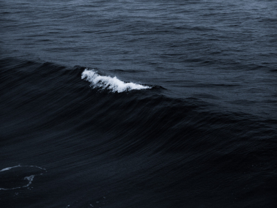 Barbe grisonnante : les meilleurs soins pour hydrater et entretenir une barbe gr